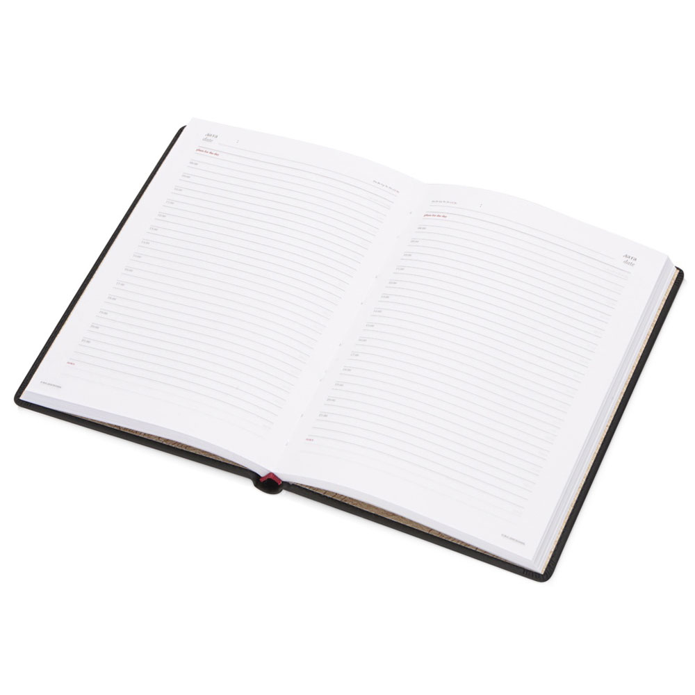 Ежедневник недатированный 