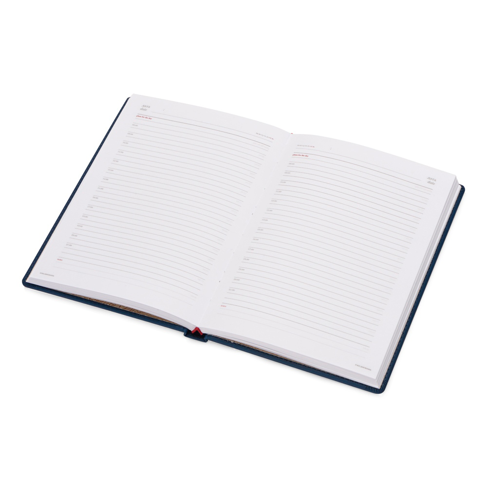 Ежедневник недатированный 