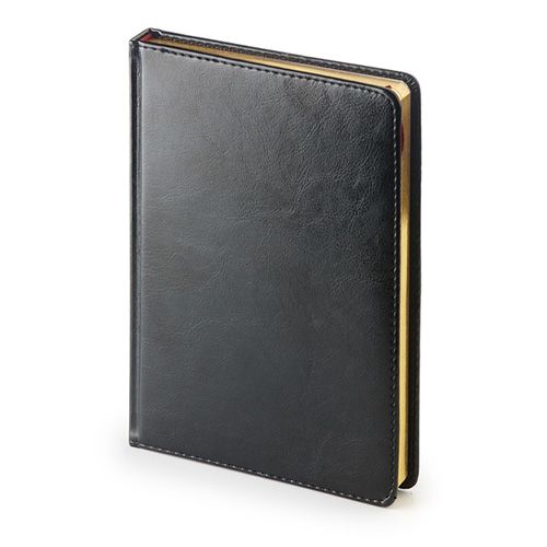 Ежедневник недатированный 