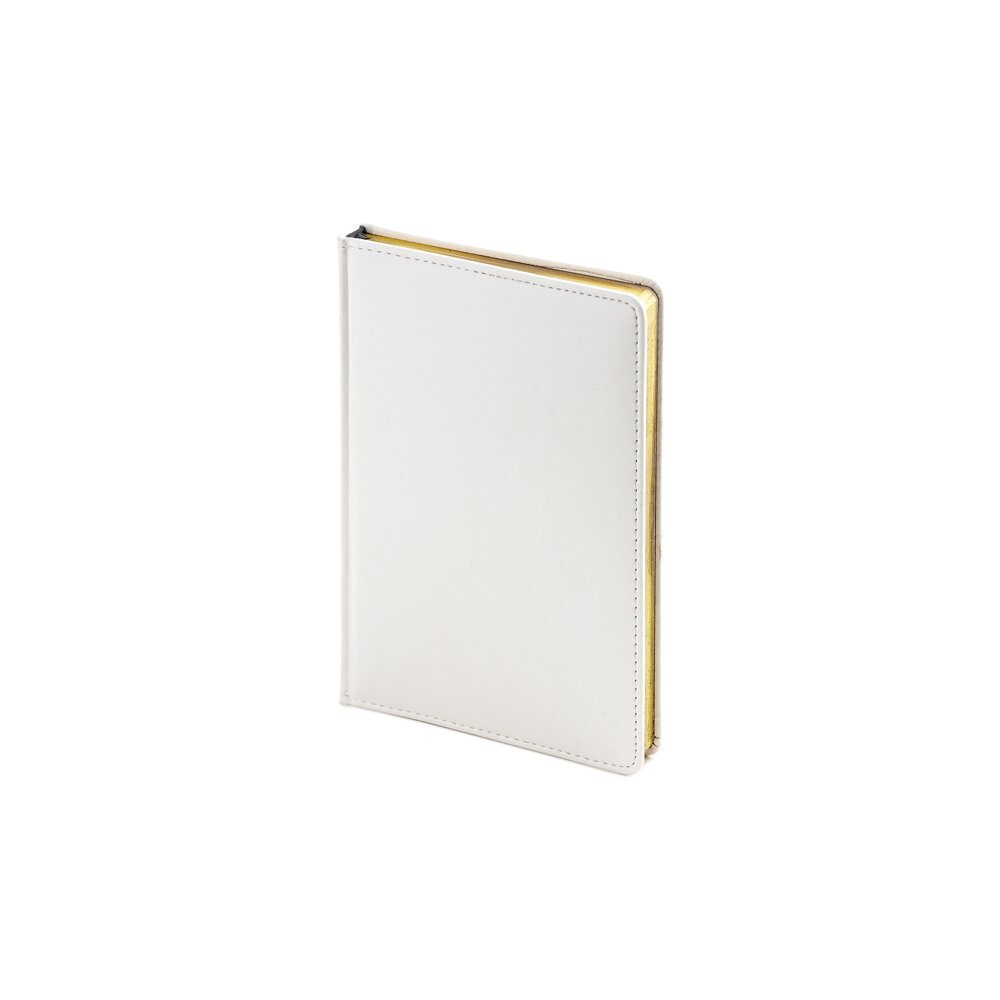 Ежедневник недатированный 