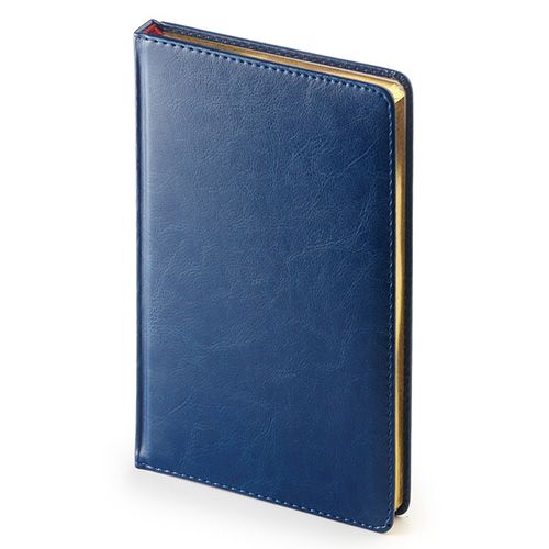 Ежедневник недатированный 