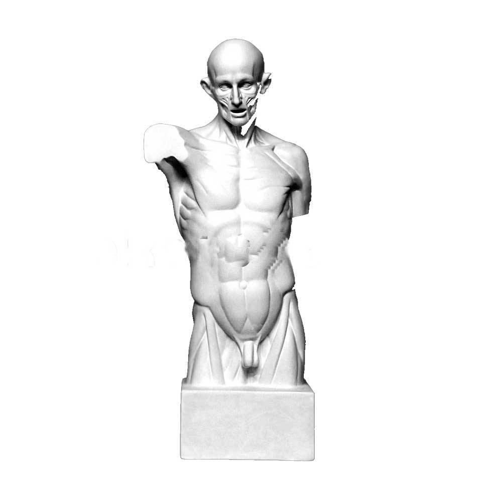 Гипсовая модель 