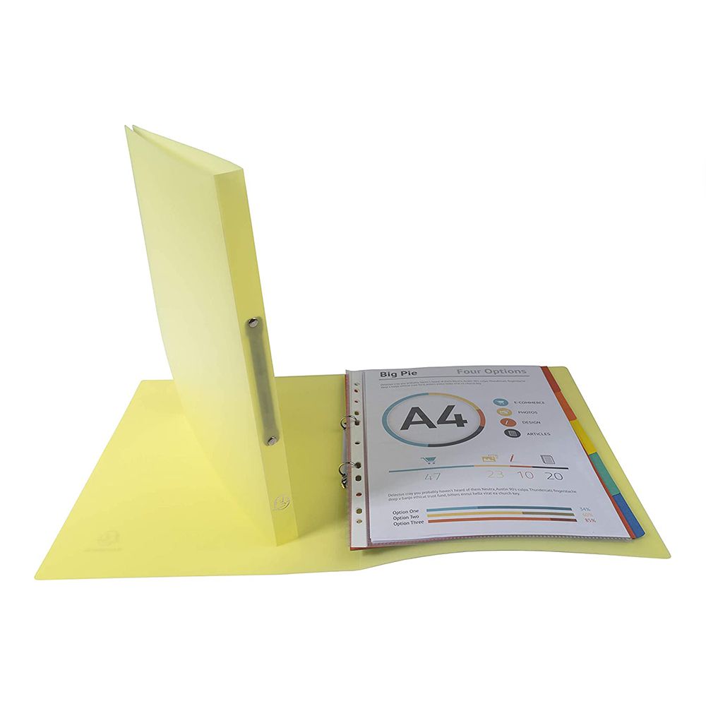 Папка на кольцах 