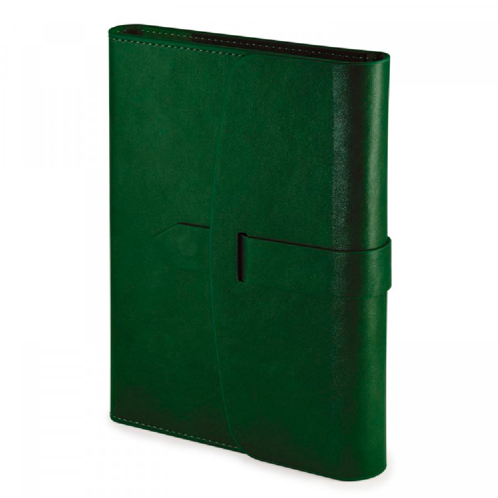 Ежедневник недатированный 