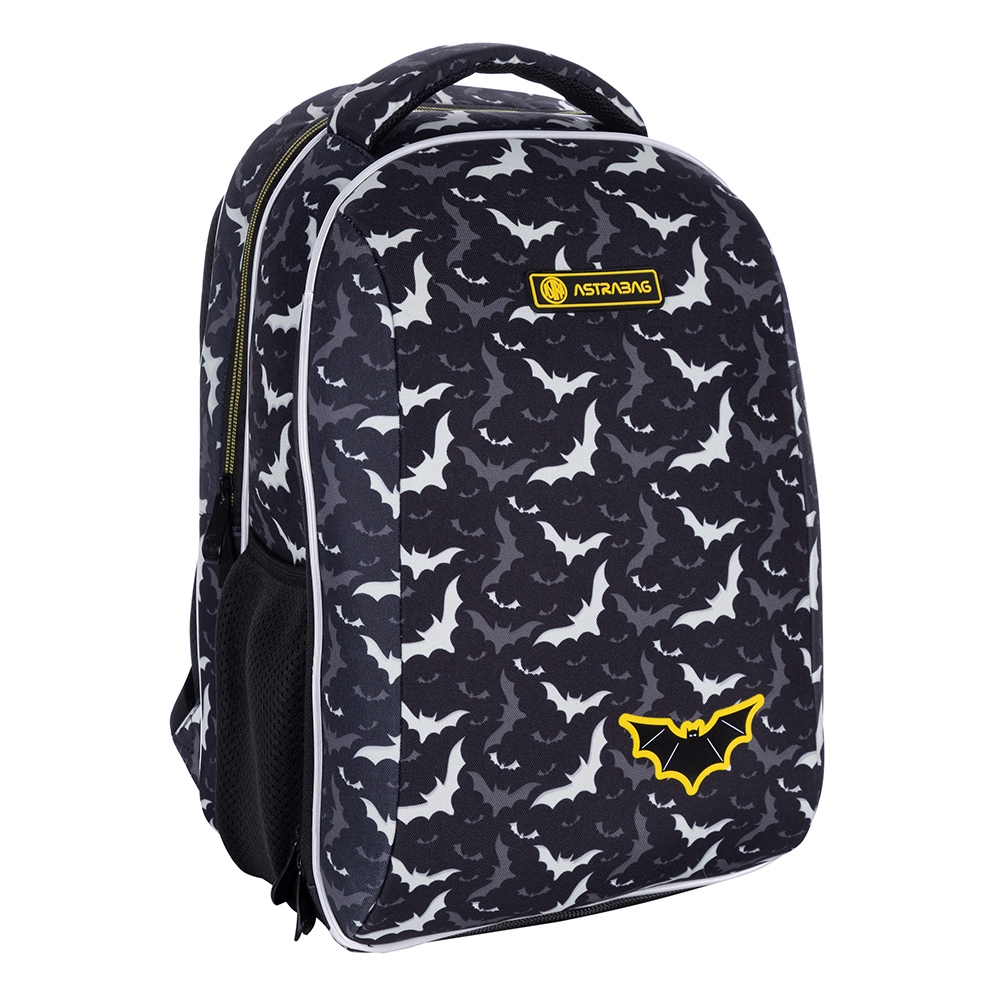 Рюкзак молодежный Astra 