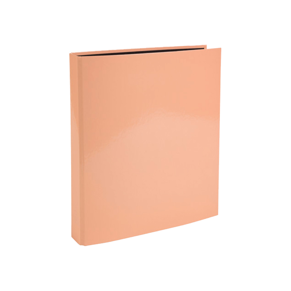 Папка на кольцах 