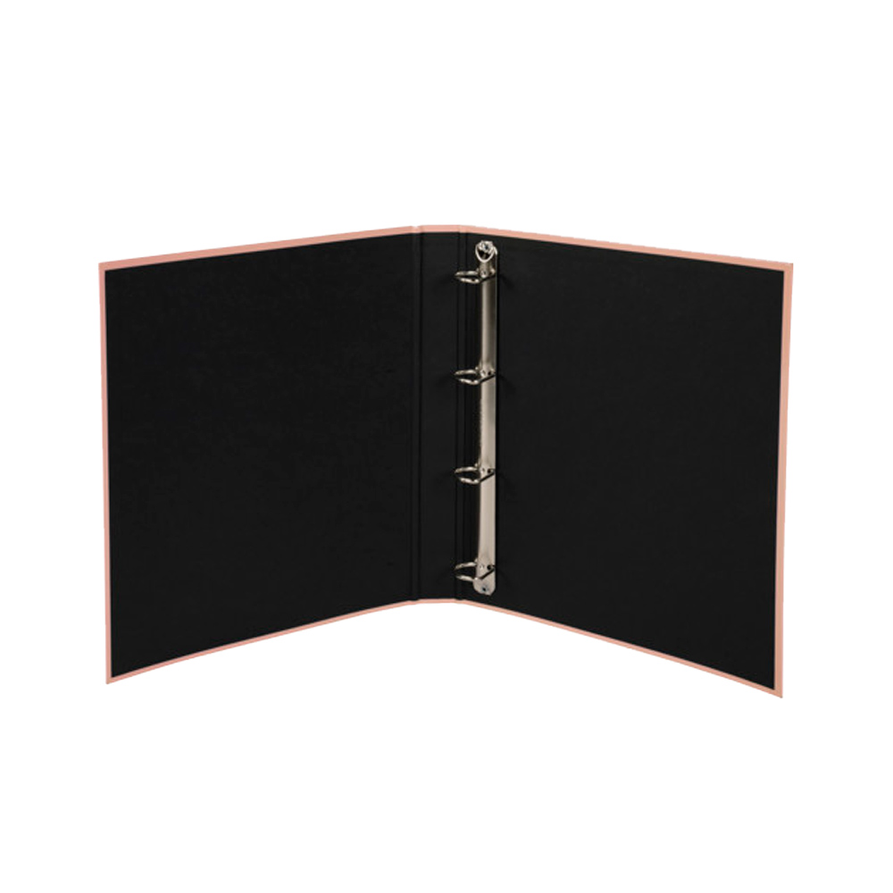 Папка на кольцах 