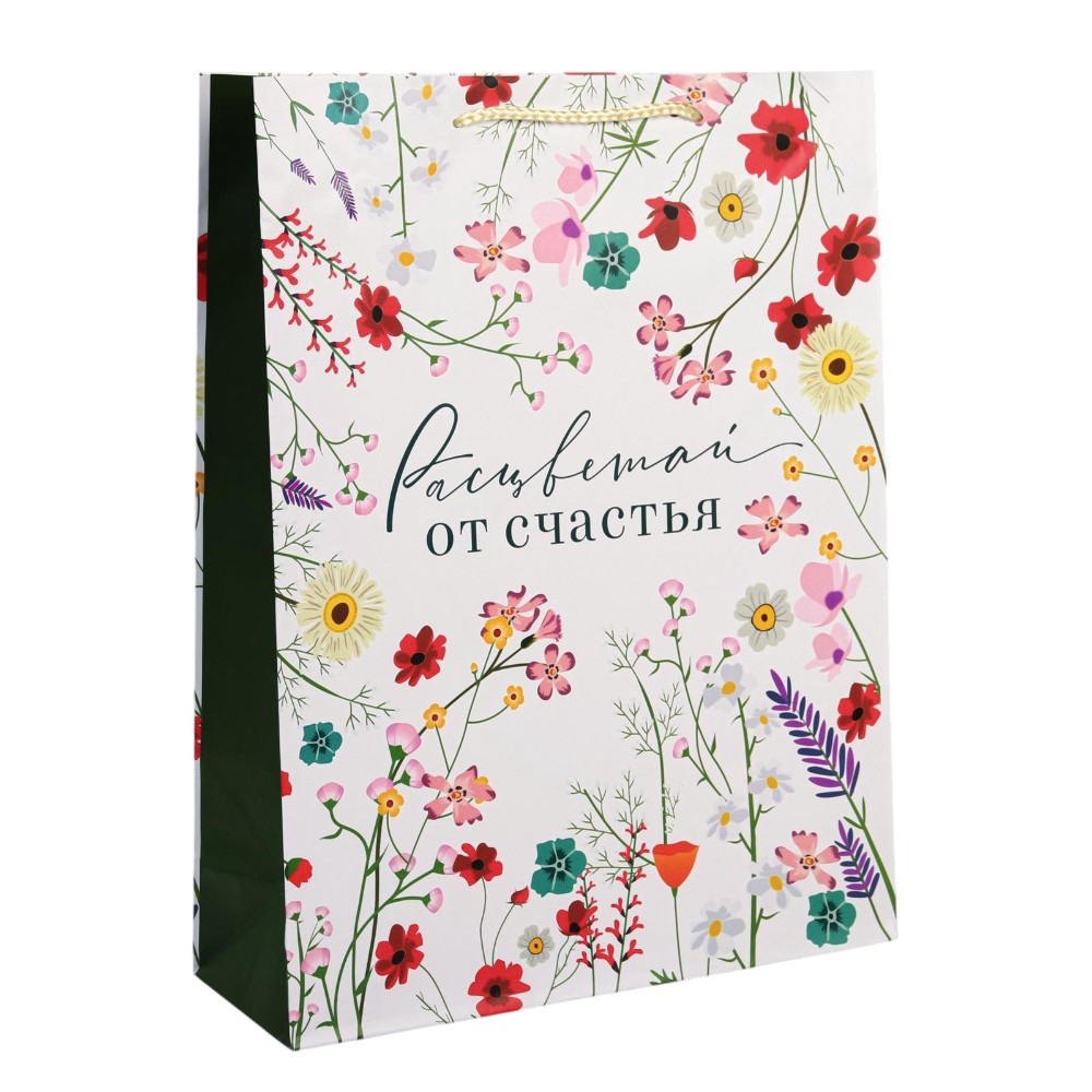 Пакет бумажный подарочный 