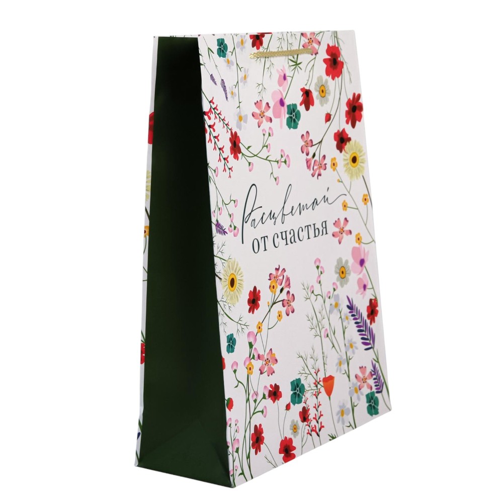 Пакет бумажный подарочный 