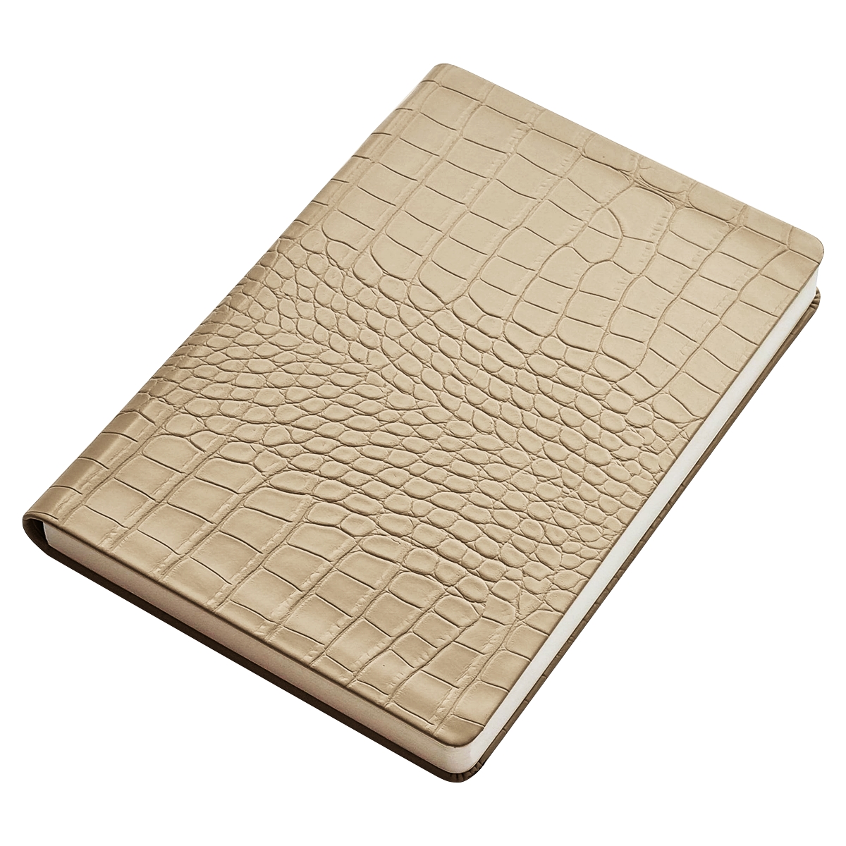 Ежедневник недатированный InFolio 