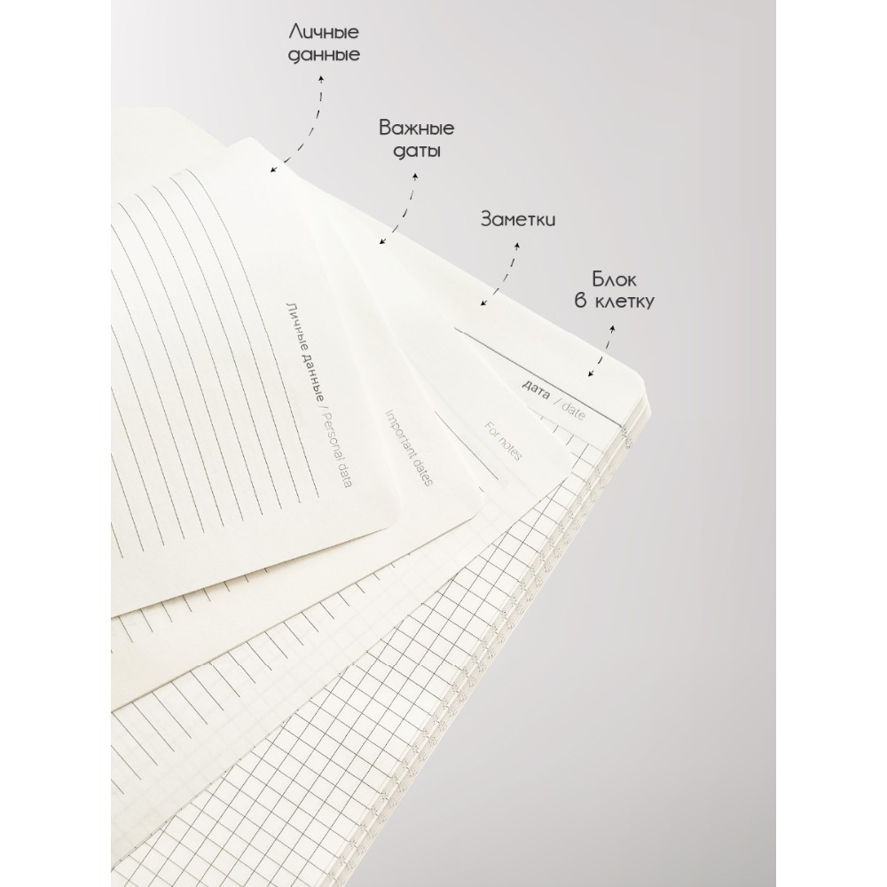 Книга записная InFolio 