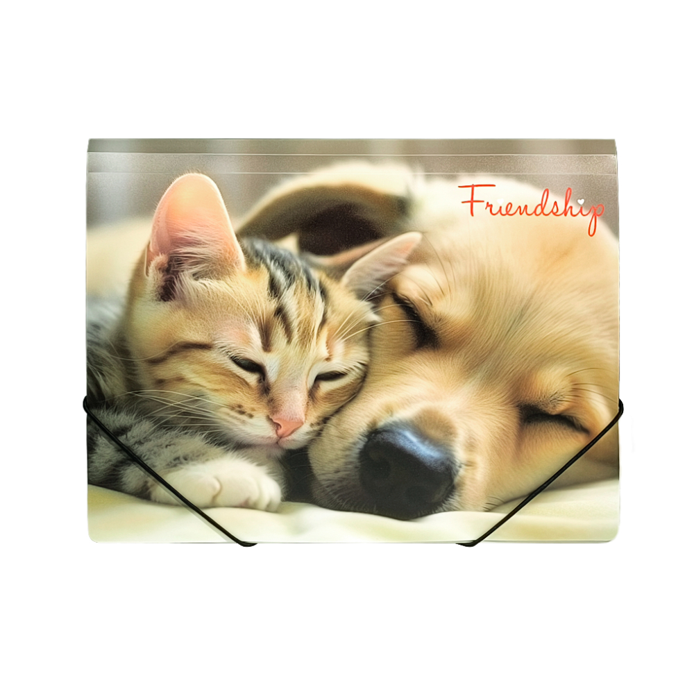 Папка на резинках 