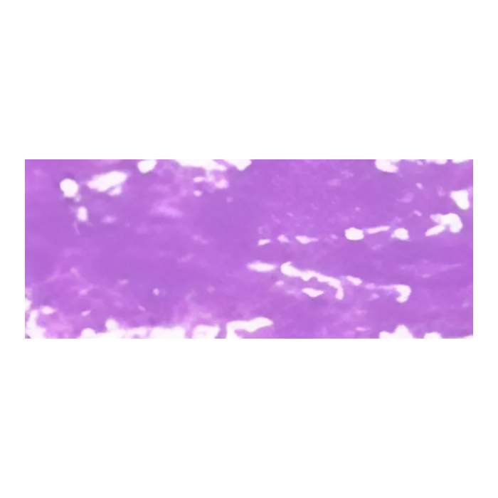 Пастель масляная 
