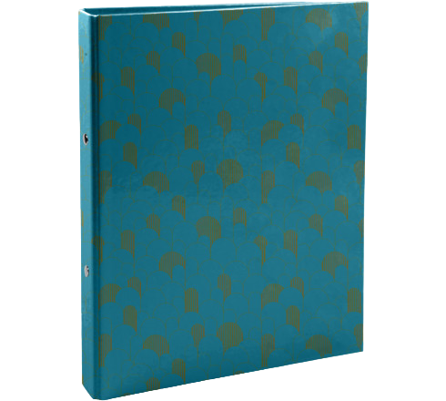 Папка на кольцах 