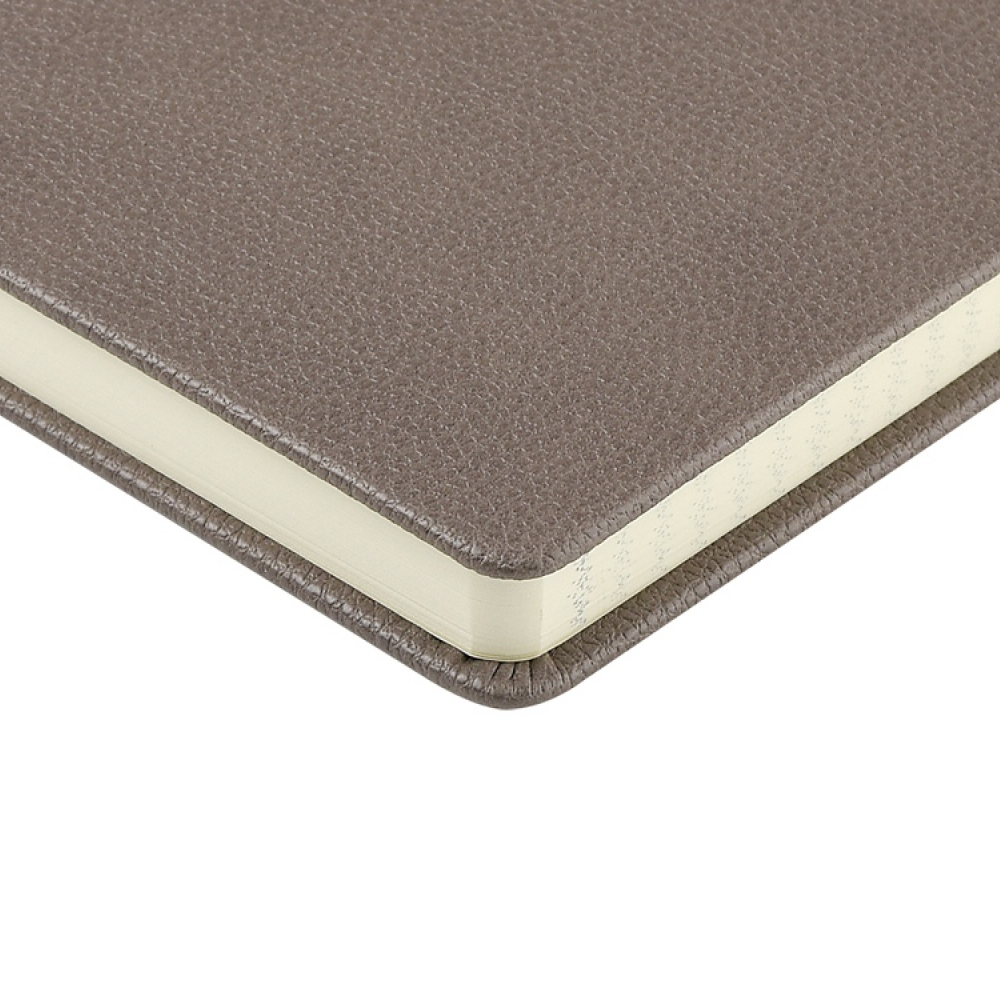 Ежедневник недатированный 