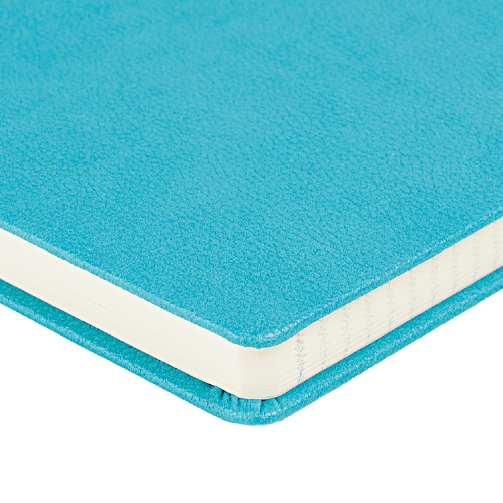 Ежедневник недатированный 