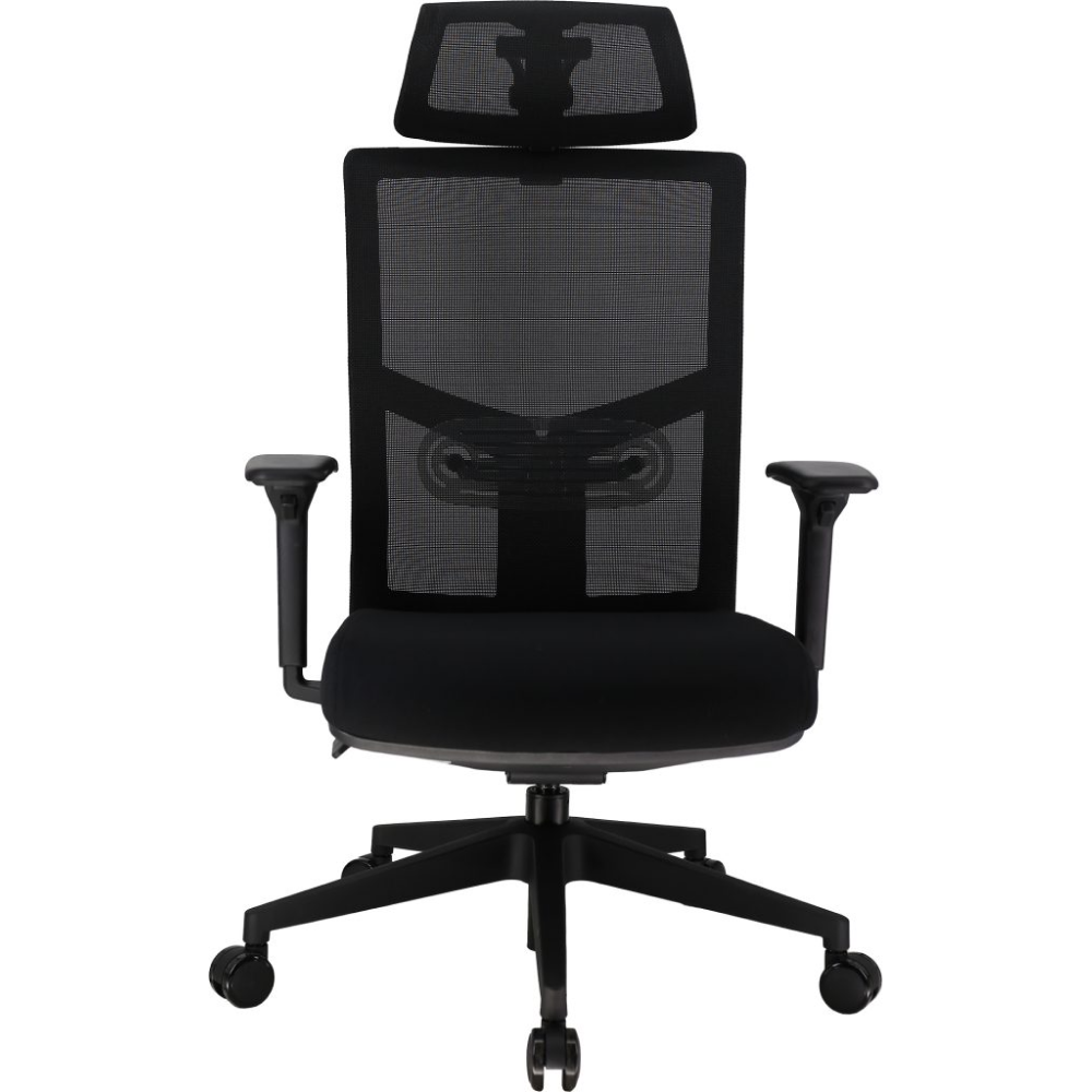 Кресло для руководителя EVERPROF Fuji  сетка, черный