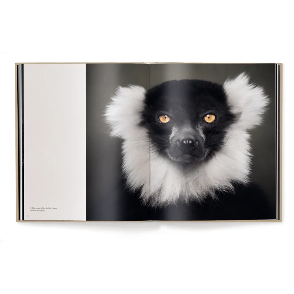 Книга на английском языке 