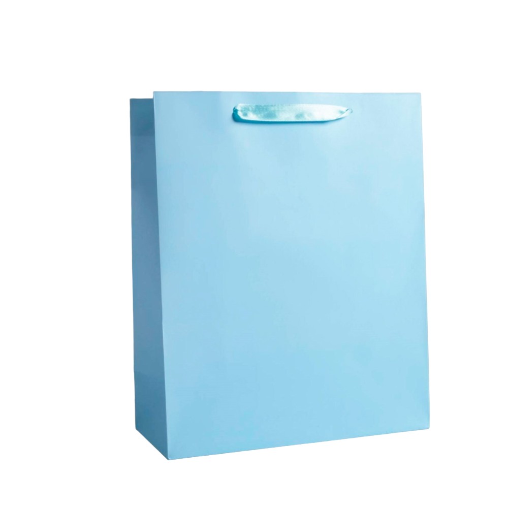 Пакет бумажный подарочный 