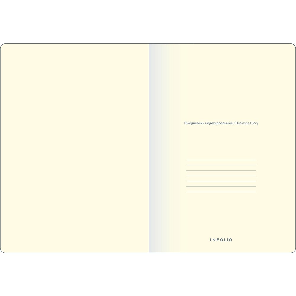Ежедневник недатированный 
