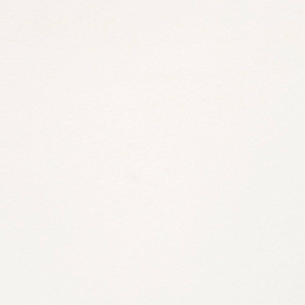 Краски акварельные Белые ночи, 100 белила цинковые, 10мл., туба