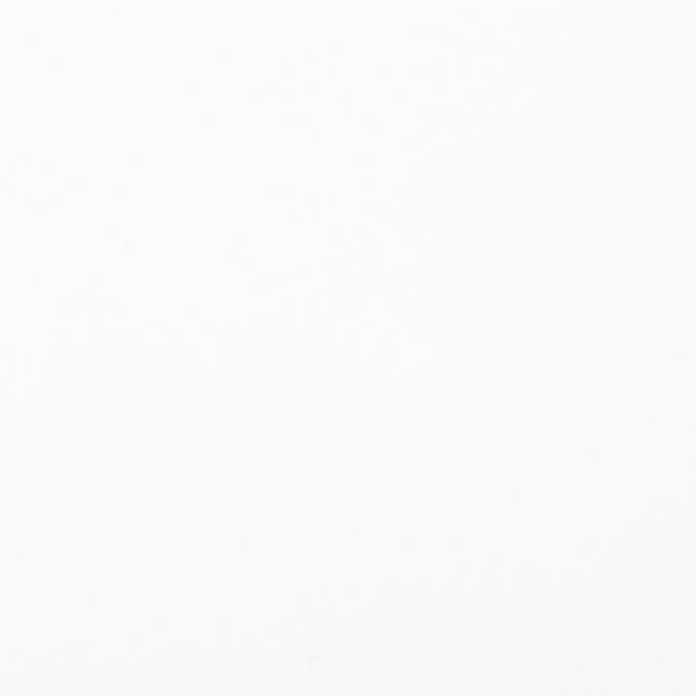 Краски акриловые Ладога (Невская палитра), 100 белила цинковые, 220 мл., банка