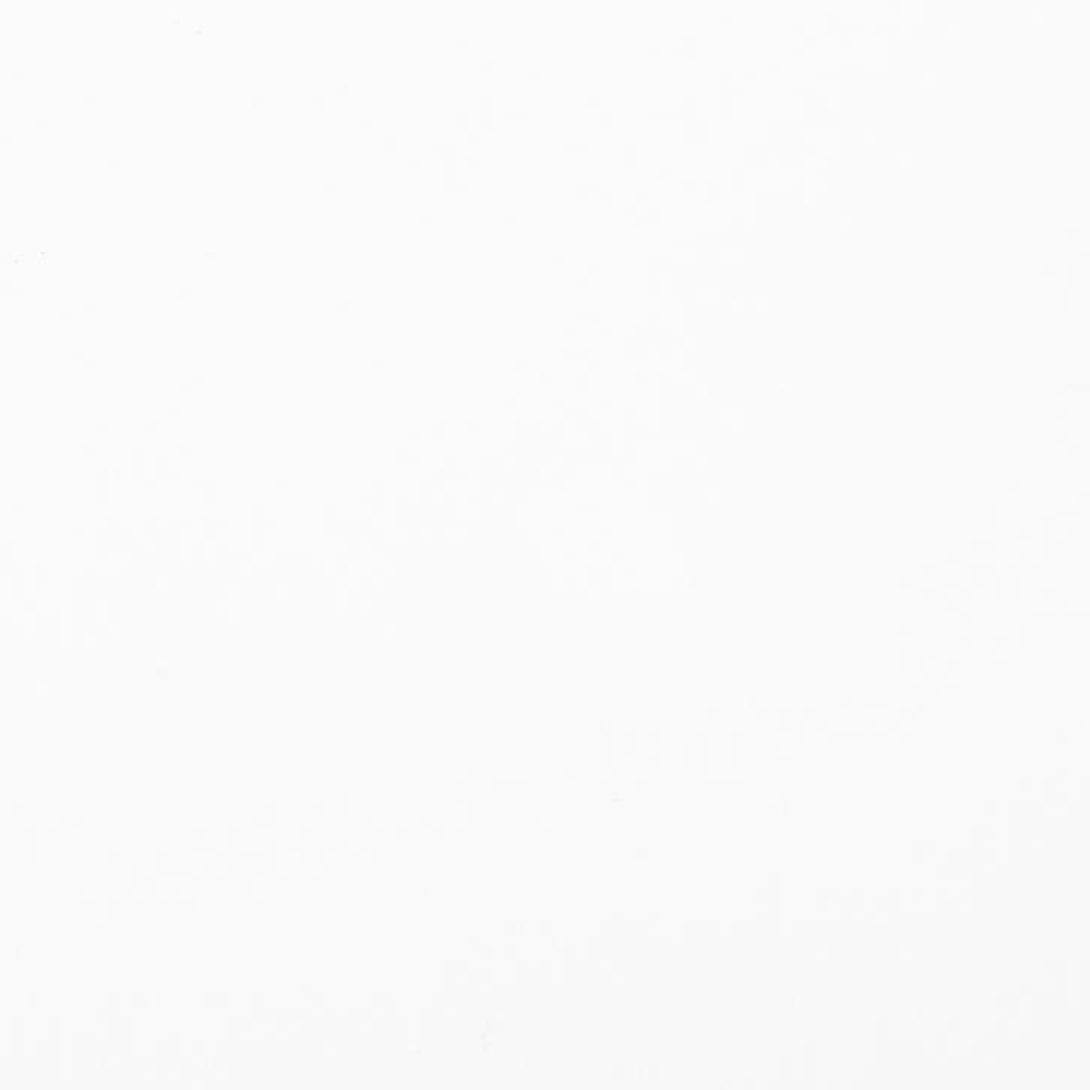 Краски акриловые Ладога, 101 белила титановые, 100 мл., банка