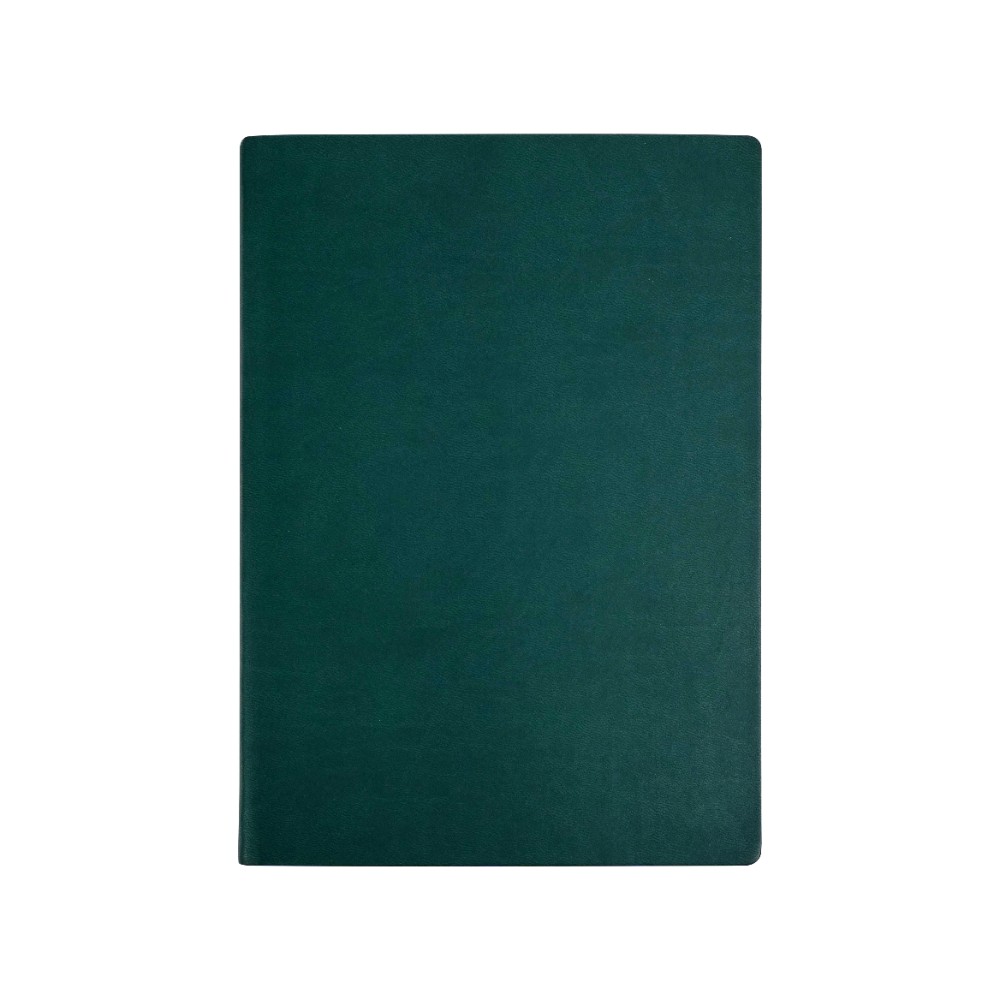 Ежедневник недатированный 