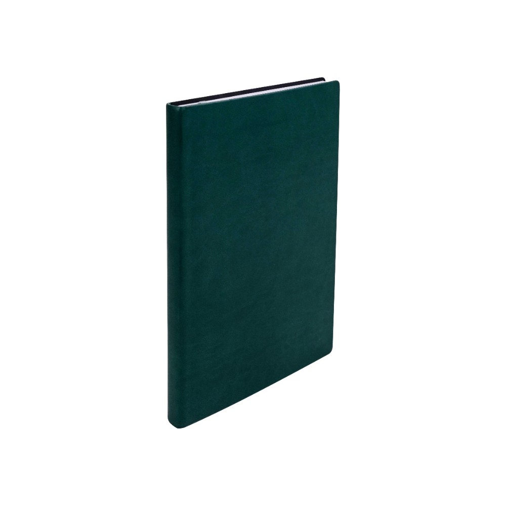 Ежедневник недатированный 