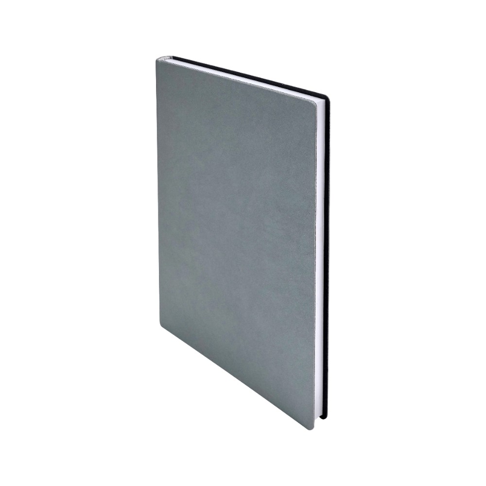 Ежедневник недатированный 