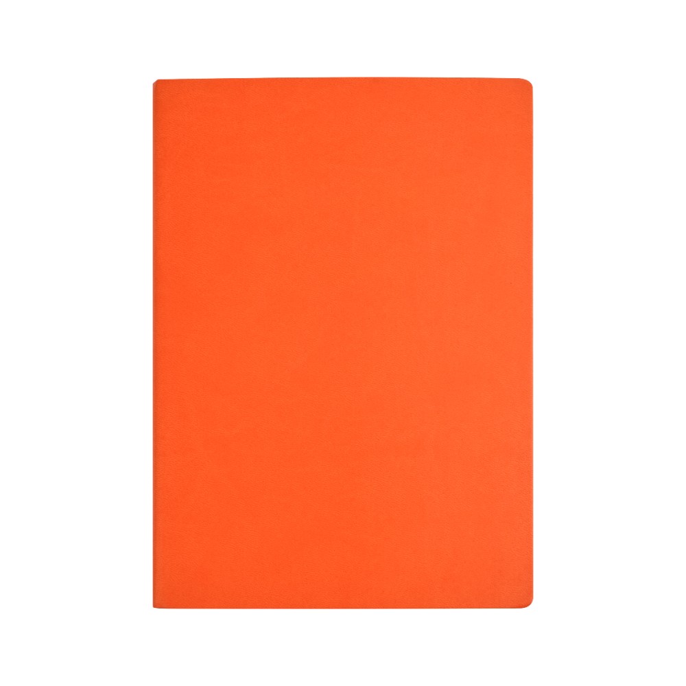 Ежедневник недатированный 