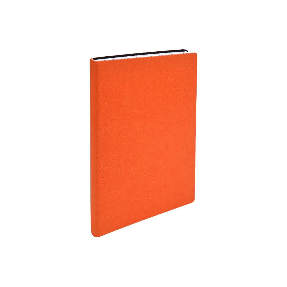 Ежедневник недатированный 