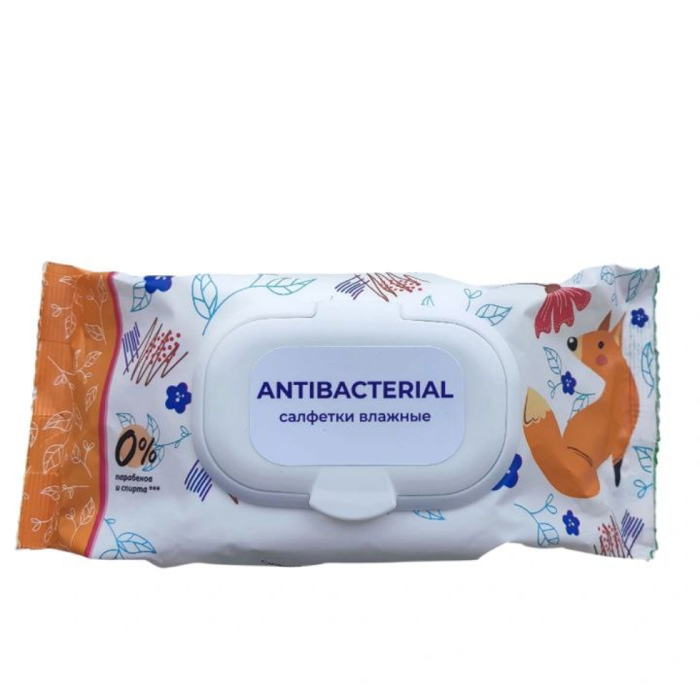 Салфетки влажные гигиенические антибактериальные с клапаном, с растительными экстрактами, 120 шт