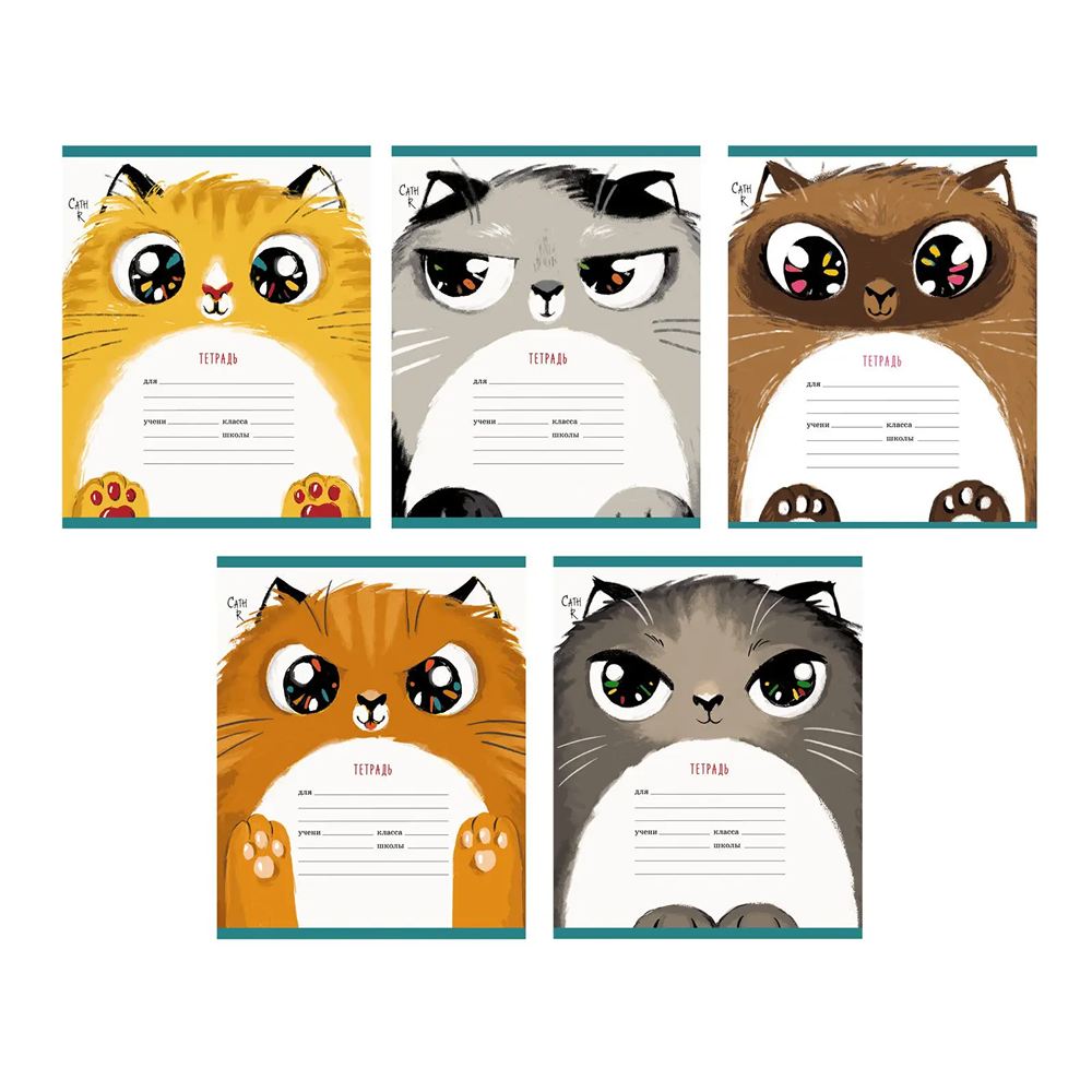 Тетрадь 