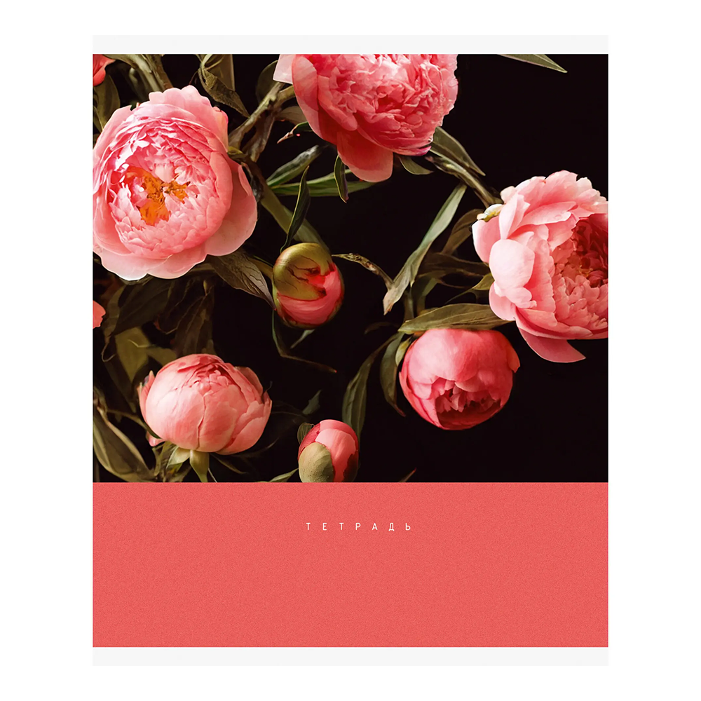 Тетрадь 