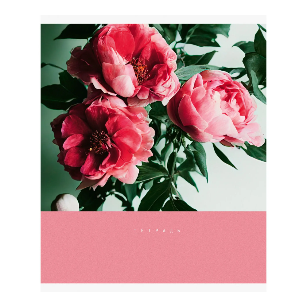Тетрадь 