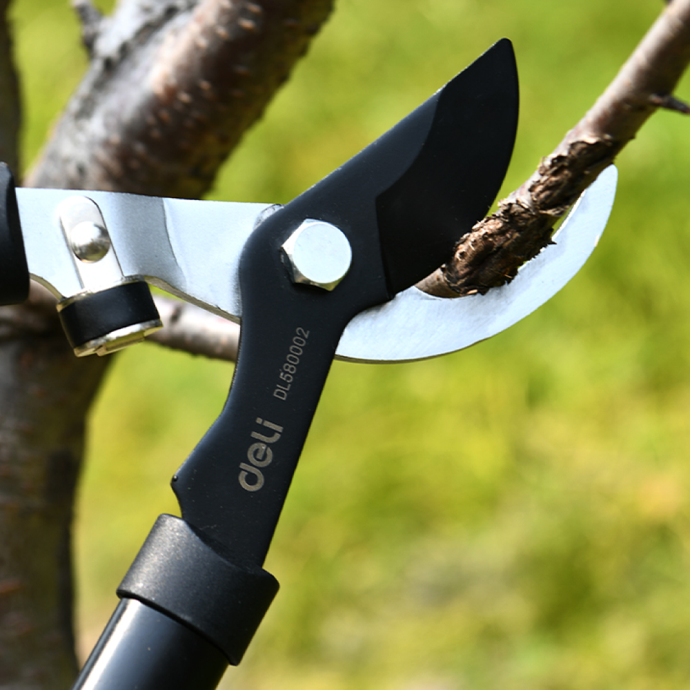 Набор садовых инструментов Deli GS EDL580002, 2 шт.