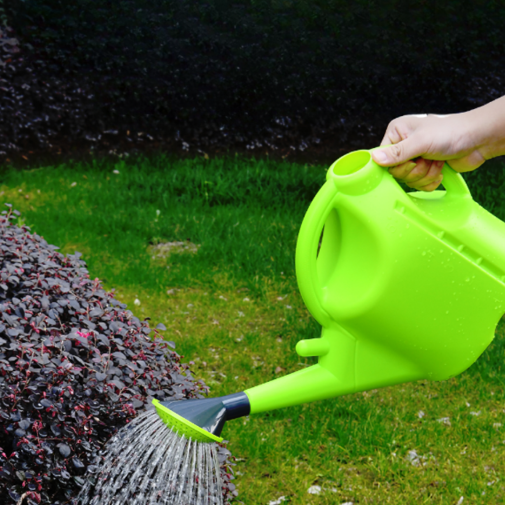 Лейка Deli GS EDL581005B, пластмассовая, 5 л, зеленая