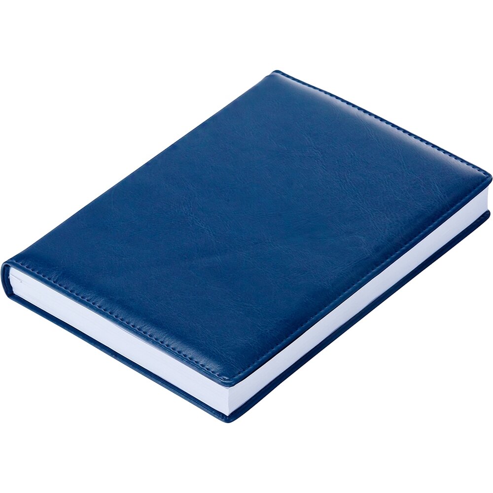 Ежедневник датированный 