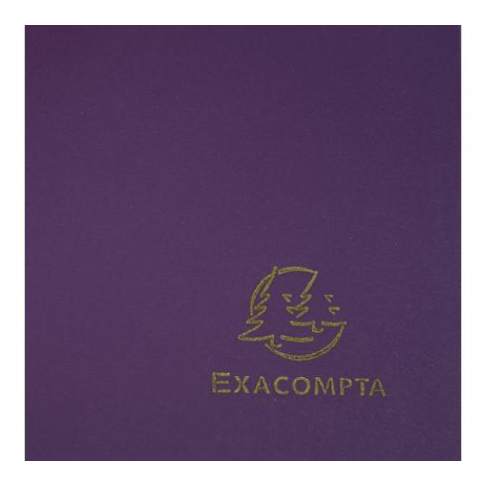 Папка на резинках 