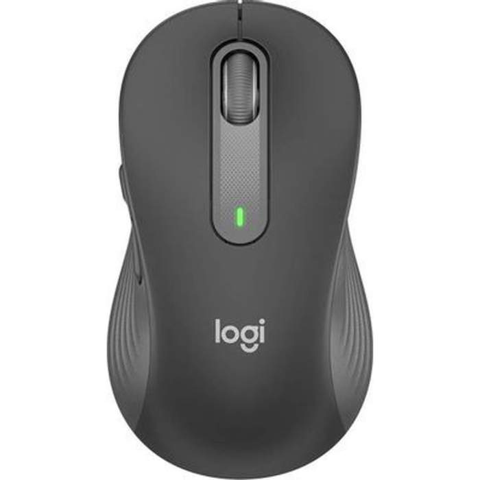 Компьютерная мышь Logitech Signature M650 L