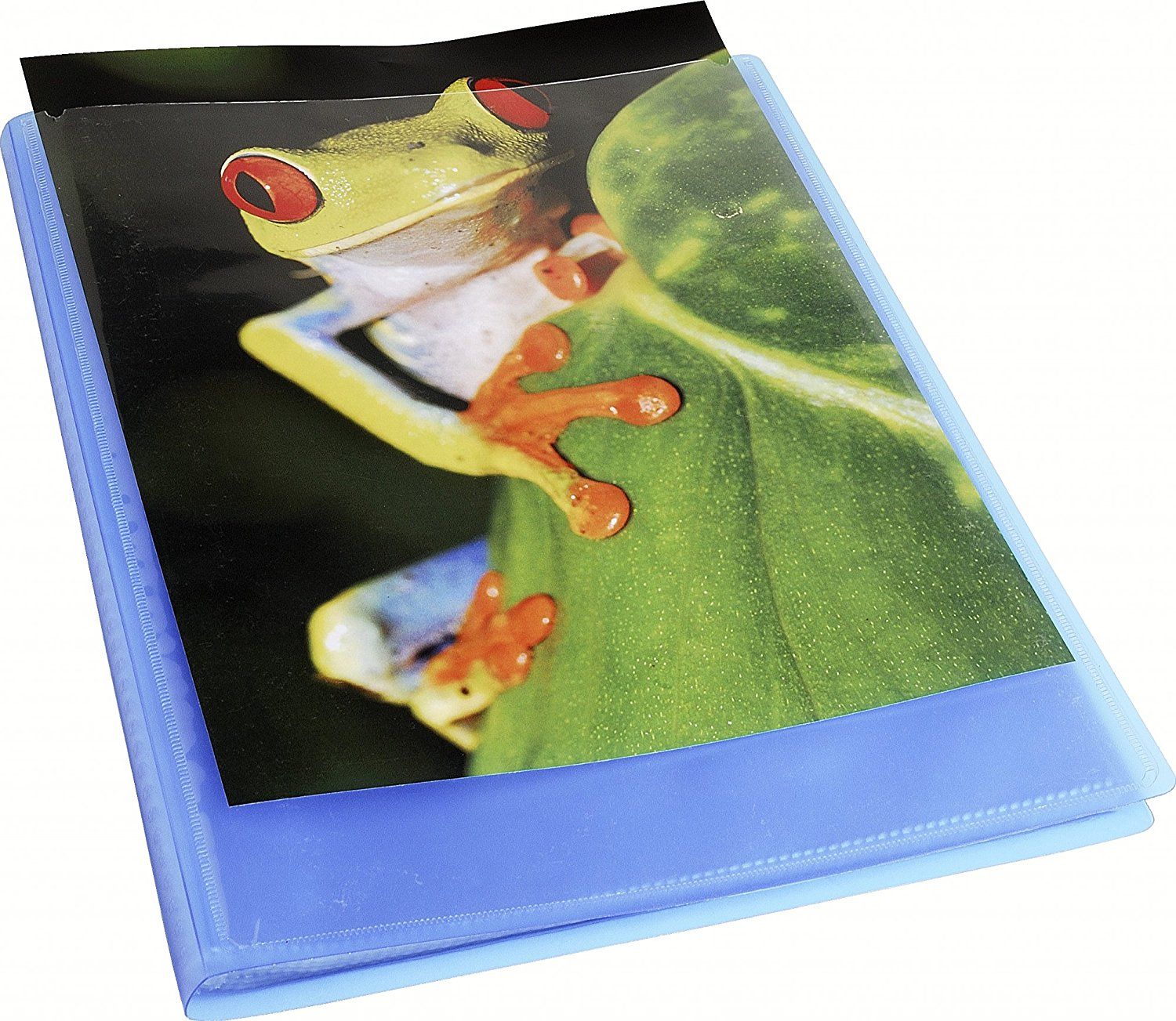 Папка с файлами 